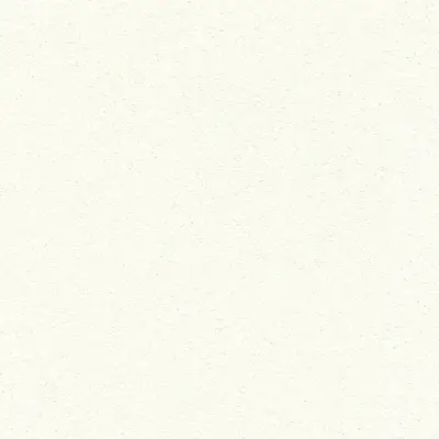 The Basic - White Beige Tone PT.01