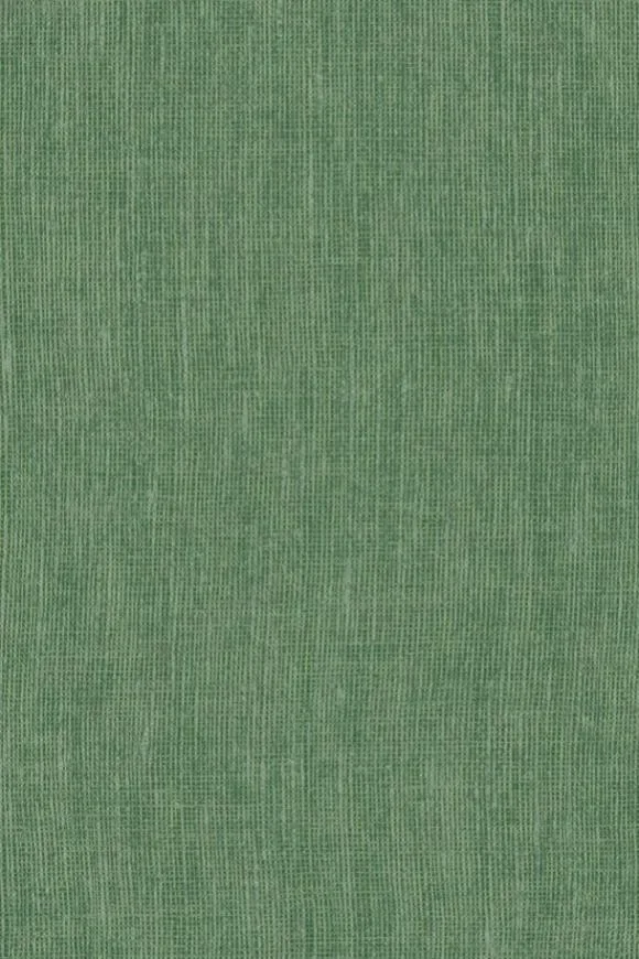 Lin Normandie Forest — Ảnh 2