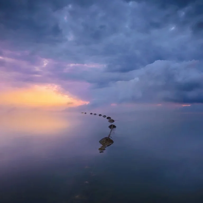 Wetland Sunrise - Wall Mural 5092 - 8 Panel - 384cm x 260cm — Ảnh 2