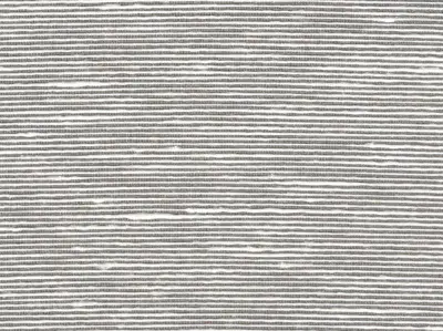 Stripe Sequin Weaving 20020719