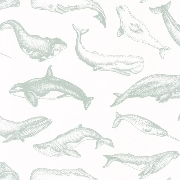 WHALE DONE 102797010