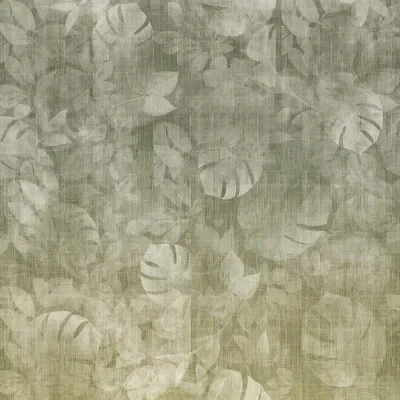 TRANSITION TROPIC — Image 4