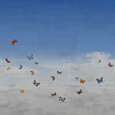 Digital Murals Butterfly Sky