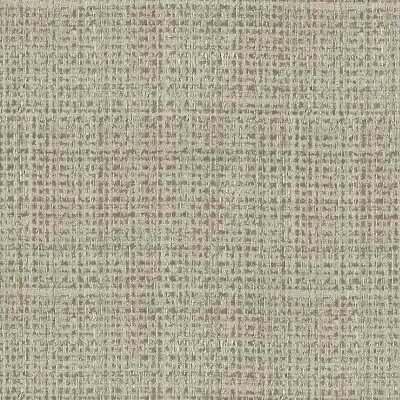Vinyl Max's Metallic Raffia