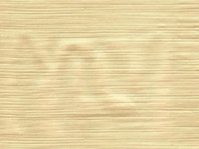 Silk 210501-14