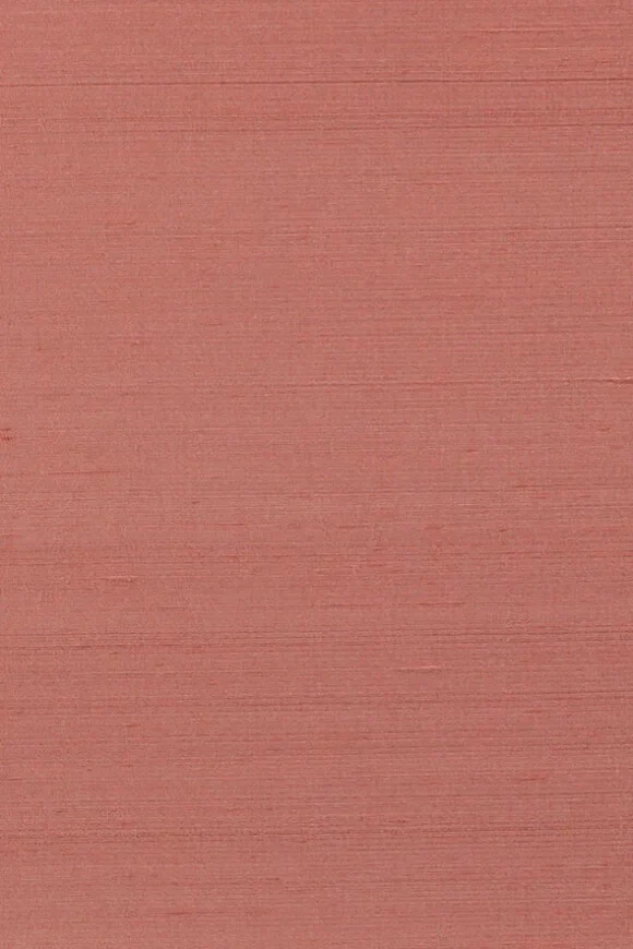 Papillon Rose Pink — Ảnh 2