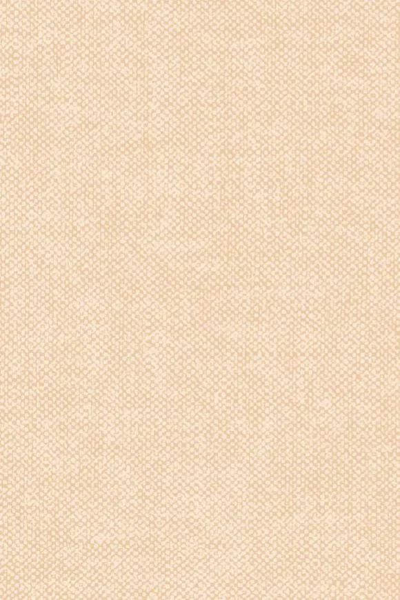 Lin Canvas — Ảnh 2