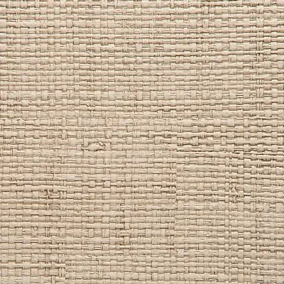 Vinyl Island Raffia