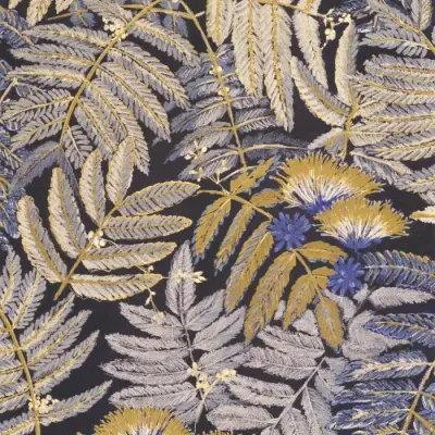 Botanica Albizia