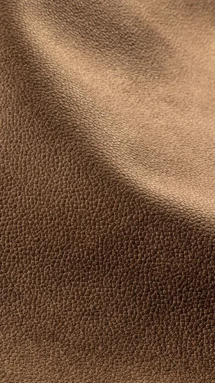 Bonario Gaucho Upholstery Fabric - 100