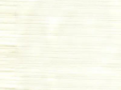Silk 210501-7