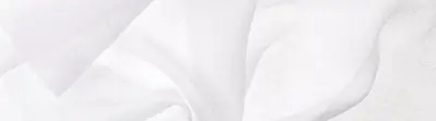 ICON 301